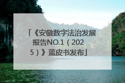 《安徽数字法治发展报告NO.1（2025）》蓝皮书发布