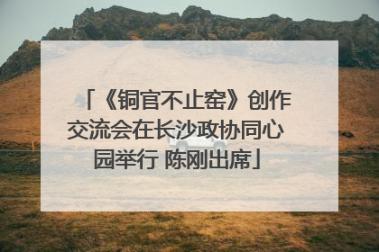 《铜官不止窑》创作交流会在长沙政协同心园举行 陈刚出席
