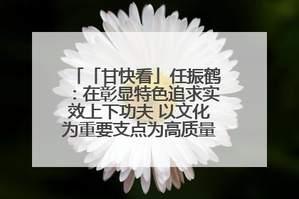 「甘快看」任振鹤：在彰显特色追求实效上下功夫 以文化为重要支点为高质量发展增添动能