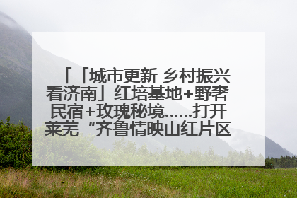 「城市更新 乡村振兴看济南」红培基地+野奢民宿+玫瑰秘境……打开莱芜“齐鲁情映山红片区”的破圈秘籍
