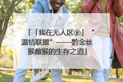 「我在无人区⑧」“温情联盟”——黔金丝猴雌猴的生存之道