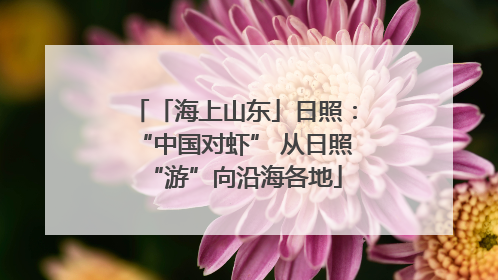 「海上山东」日照：“中国对虾” 从日照“游”向沿海各地