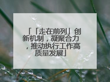 「走在前列」创新机制，凝聚合力，推动执行工作高质量发展