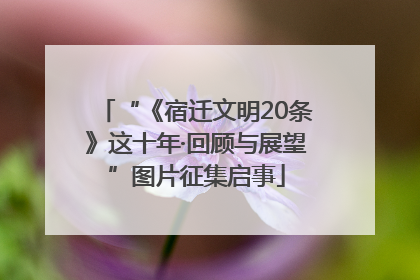 “《宿迁文明20条》这十年·回顾与展望”图片征集启事