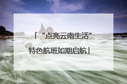 “点亮云南生活”特色航班如期启航