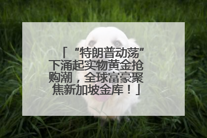 “特朗普动荡”下涌起实物黄金抢购潮，全球富豪聚焦新加坡金库！