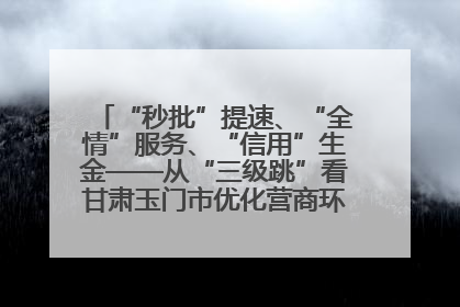 “秒批”提速、“全情”服务、“信用”生金——从“三级跳”看甘肃玉门市优化营商环境的进阶之路
