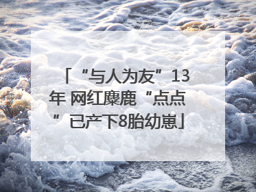 “与人为友”13年 网红麋鹿“点点”已产下8胎幼崽