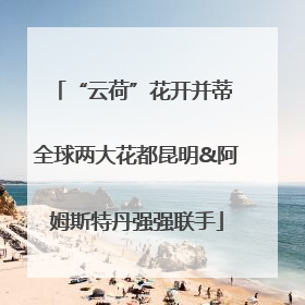 “云荷”花开并蒂 全球两大花都昆明&阿姆斯特丹强强联手