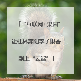“互联网+果园”让桂林灌阳李子果香飘上“云端”