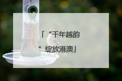 “千年越韵”绽放港澳