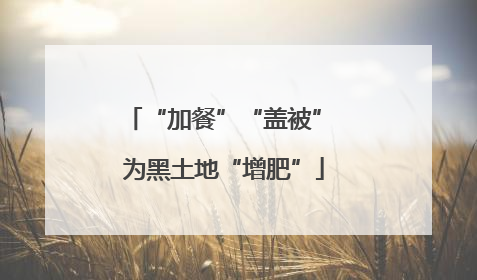 “加餐”“盖被” 为黑土地“增肥”