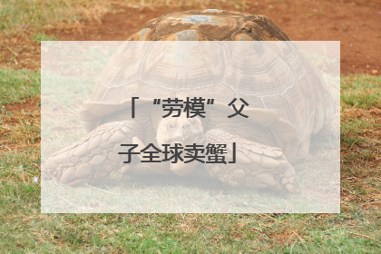 “劳模”父子全球卖蟹