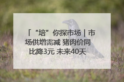 “培”你探市场｜市场供增需减 猪肉价同比降3元 未来40天便宜猪肉敞开吃