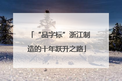 “品字标”浙江制造的十年跃升之路