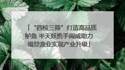 “四检三筛”打造高品质鲈鱼 半天妖携手闽威助力福鼎渔业实现产业升级