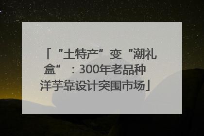 “土特产”变“潮礼盒”：300年老品种洋芋靠设计突围市场