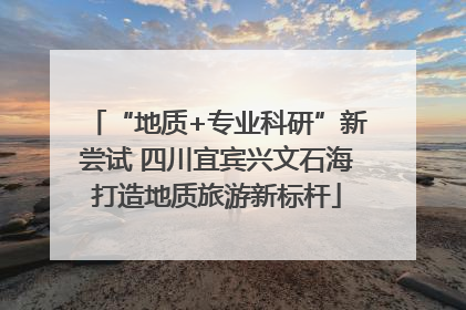 “地质+专业科研”新尝试 四川宜宾兴文石海打造地质旅游新标杆