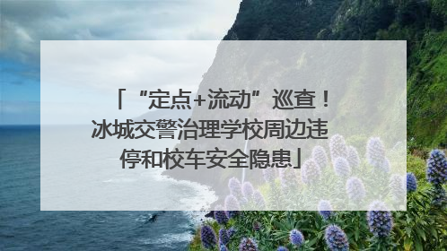 “定点+流动”巡查！冰城交警治理学校周边违停和校车安全隐患