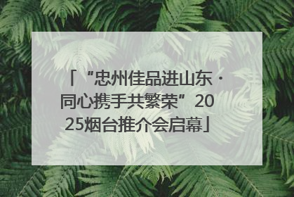 “忠州佳品进山东・同心携手共繁荣”2025烟台推介会启幕