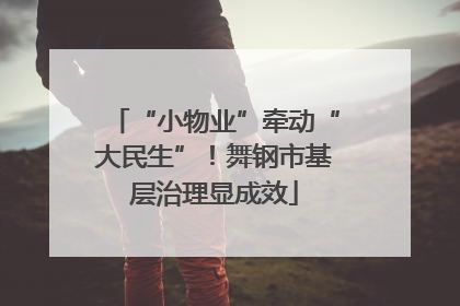 “小物业”牵动“大民生”！舞钢市基层治理显成效