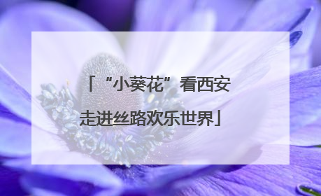 “小葵花”看西安走进丝路欢乐世界