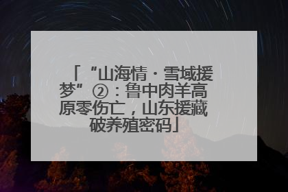 “山海情・雪域援梦”②：鲁中肉羊高原零伤亡，山东援藏破养殖密码