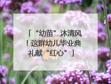 “幼苗”沐清风！这群幼儿毕业典礼献“红心”