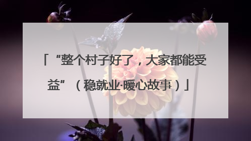 “整个村子好了，大家都能受益”（稳就业·暖心故事）