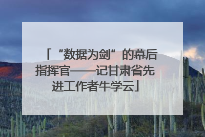 “数据为剑”的幕后指挥官——记甘肃省先进工作者牛学云