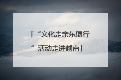 “文化走亲东盟行”活动走进越南