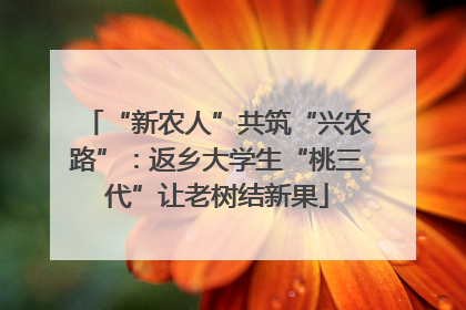 “新农人”共筑“兴农路”：返乡大学生“桃三代”让老树结新果