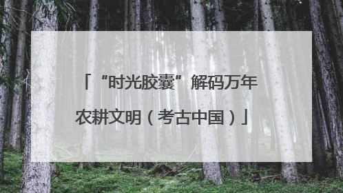 “时光胶囊”解码万年农耕文明（考古中国）