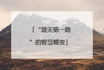 “楚天第一路”的智慧蝶变
