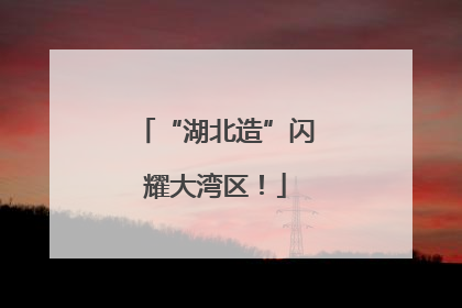 “湖北造”闪耀大湾区！