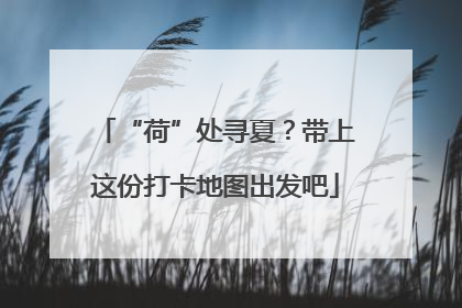 “荷”处寻夏？带上这份打卡地图出发吧