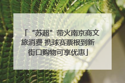 “苏超”带火南京商文旅消费 携球赛票根到新街口购物可享优惠