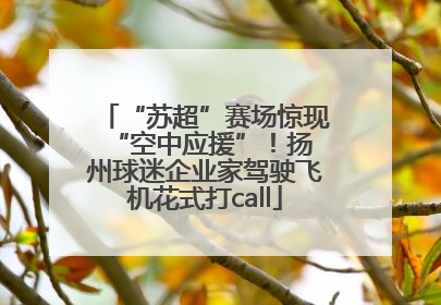 “苏超”赛场惊现 “空中应援”！扬州球迷企业家驾驶飞机花式打call