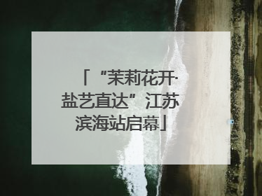 “茉莉花开·盐艺直达”江苏滨海站启幕