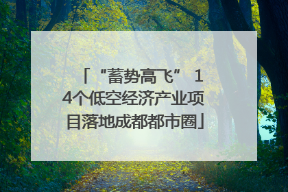 “蓄势高飞” 14个低空经济产业项目落地成都都市圈