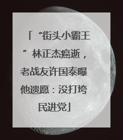 “街头小霸王”林正杰癌逝，老战友许国泰曝他遗愿：没打垮民进党