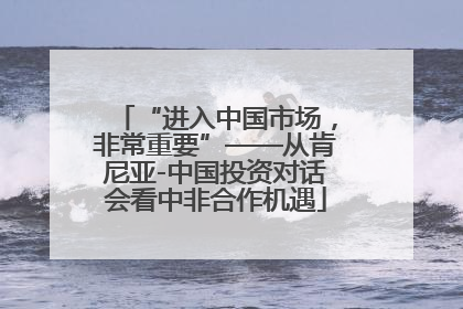 “进入中国市场，非常重要”——从肯尼亚-中国投资对话会看中非合作机遇