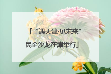 “遇天津·见未来”民企沙龙在津举行