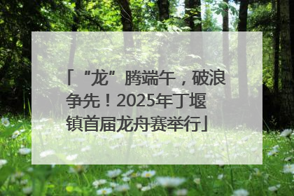 “龙”腾端午，破浪争先！2025年丁堰镇首届龙舟赛举行