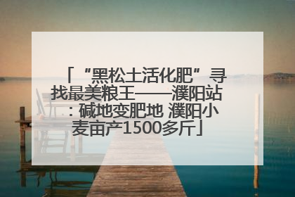“黑松土活化肥”寻找最美粮王——濮阳站：碱地变肥地 濮阳小麦亩产1500多斤