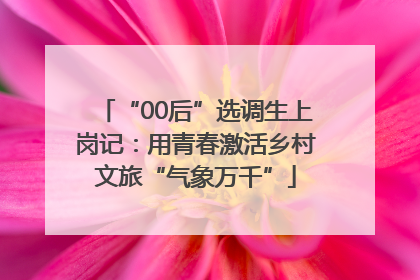“00后”选调生上岗记：用青春激活乡村文旅“气象万千”