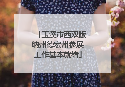 玉溪市西双版纳州德宏州参展工作基本就绪