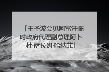 王予波会见阿富汗临时政府代理副总理阿卜杜·萨拉姆·哈纳菲