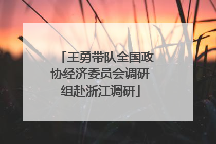 王勇带队全国政协经济委员会调研组赴浙江调研
