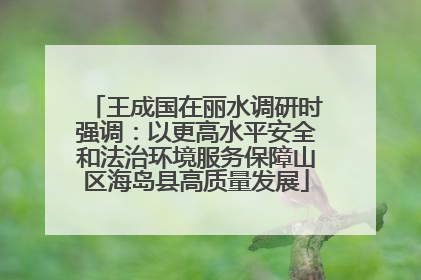 王成国在丽水调研时强调：以更高水平安全和法治环境服务保障山区海岛县高质量发展